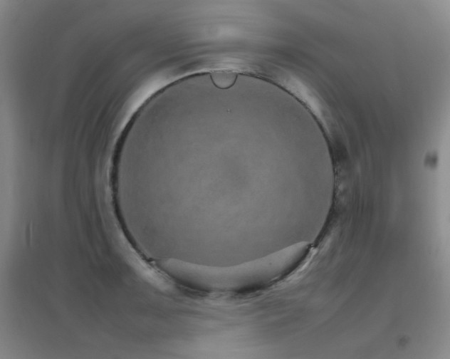 X0000096701091200802051405