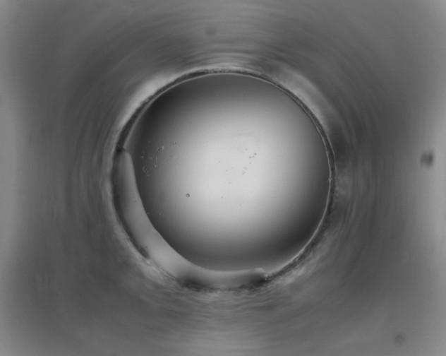 X0000096701093200802051405