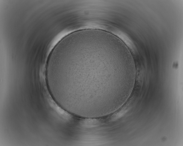 X0000096701094200802051405