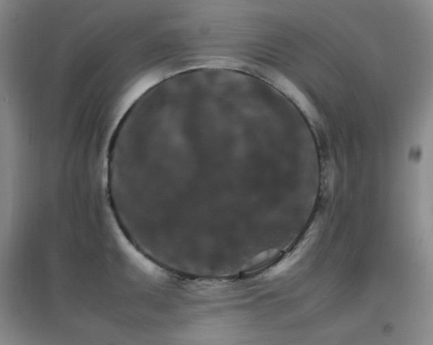 X0000096701095200802051405