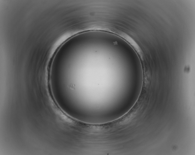 X0000096701096200802051405