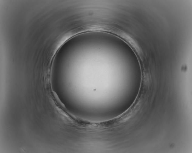 X0000096701097200802051405