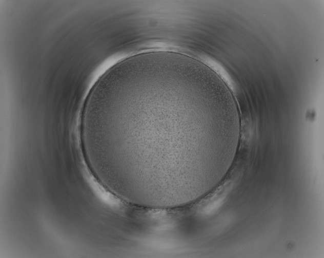 X0000096701098200802051405