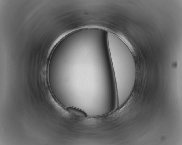 X0000096701100200802051405