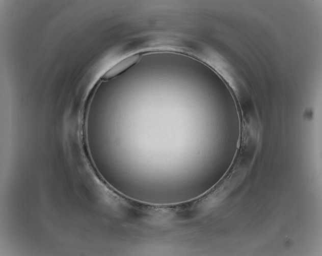 X0000096701101200802051405