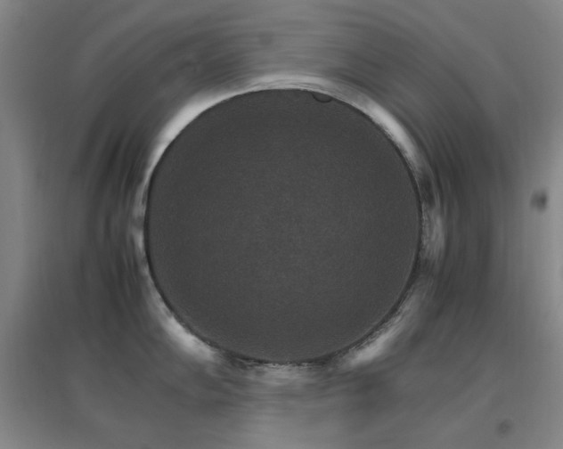 X0000096701102200802051405