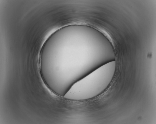 X0000096701103200802051405