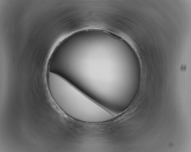 X0000096701104200802051405