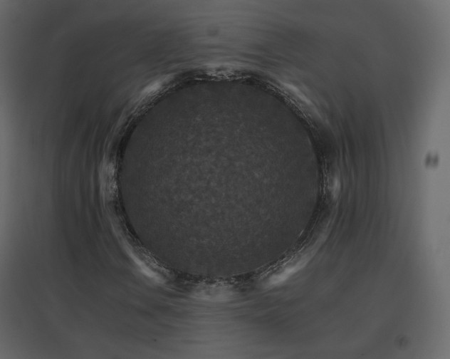 X0000096701106200802051404