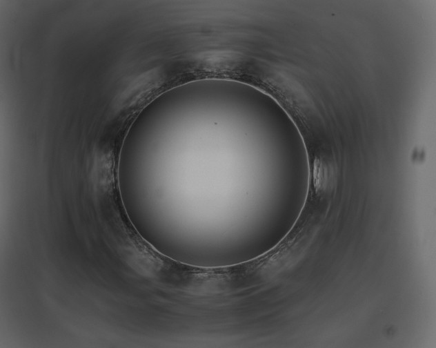 X0000096701107200802051404