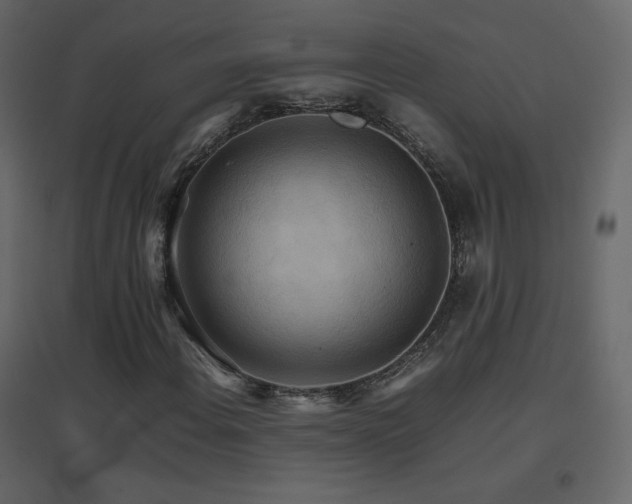 X0000096701108200802051404