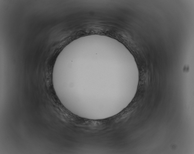 X0000096701109200802051404