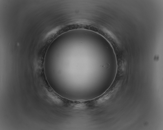 X0000096701110200802051404