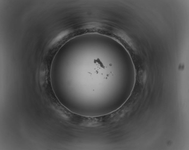X0000096701111200802051404