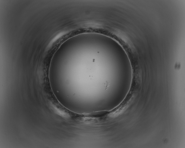 X0000096701112200802051404