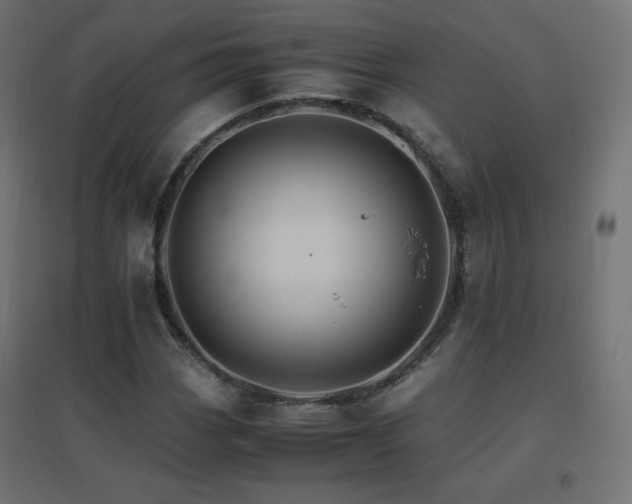 X0000096701113200802051404