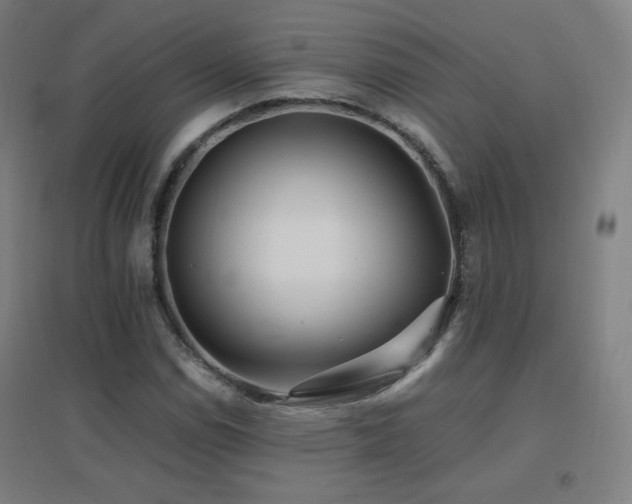 X0000096701114200802051404