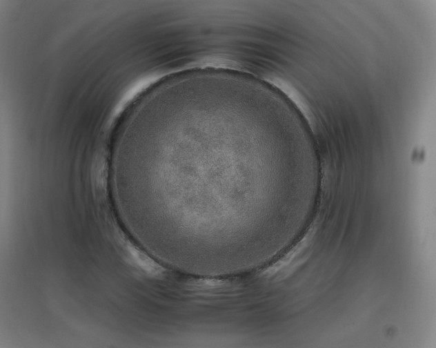 X0000096701115200802051404