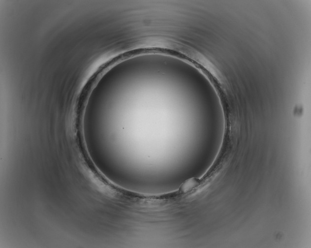 X0000096701116200802051404
