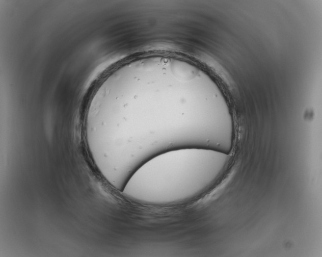 X0000096701117200802051404