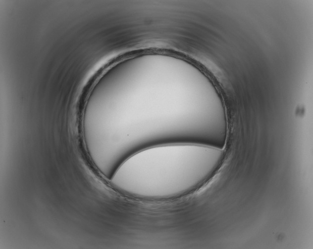 X0000096701118200802051404