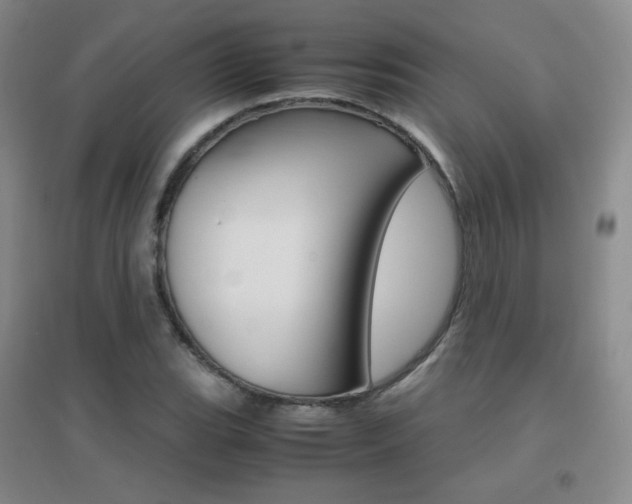 X0000096701119200802051404