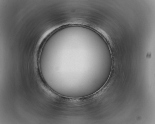 X0000096701120200802051404