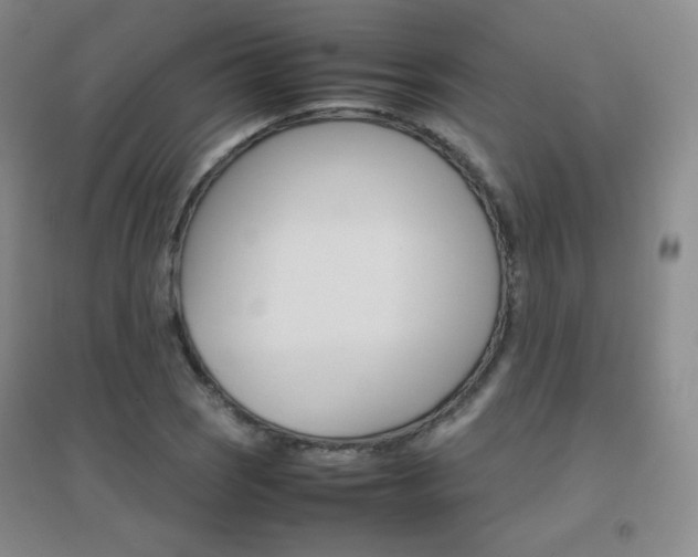 X0000096701121200802051404