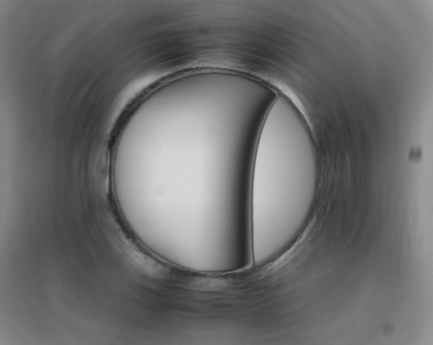 X0000096701123200802051404