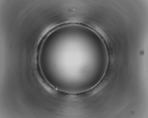 X0000096701124200802051404