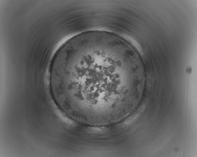 X0000096701125200802051404