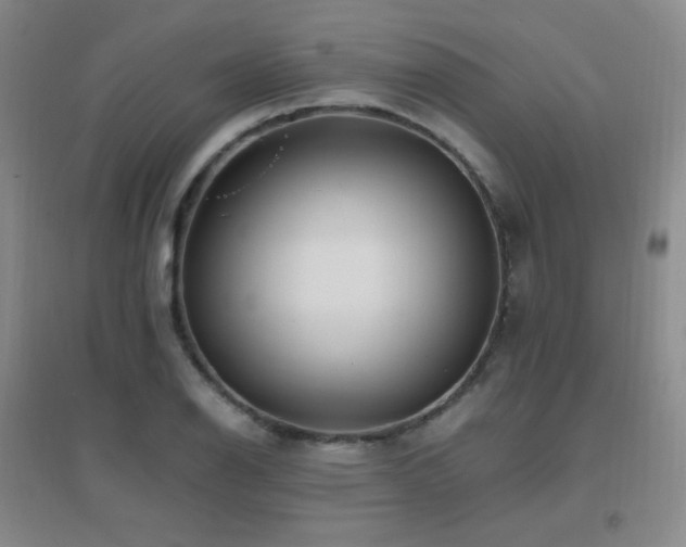 X0000096701126200802051404
