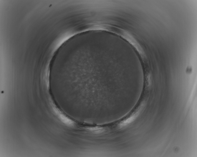 X0000096701127200802051404