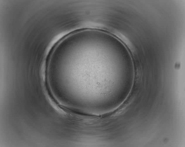 X0000096701128200802051404