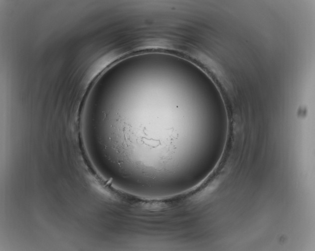 X0000096701129200802051404