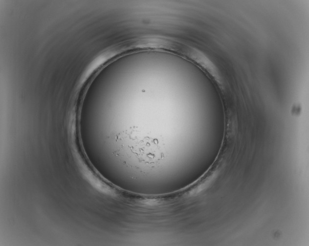 X0000096701130200802051404