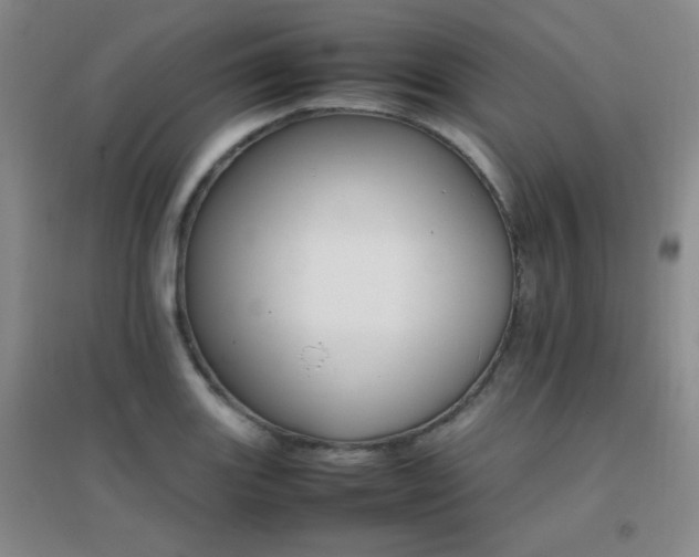 X0000096701131200802051404