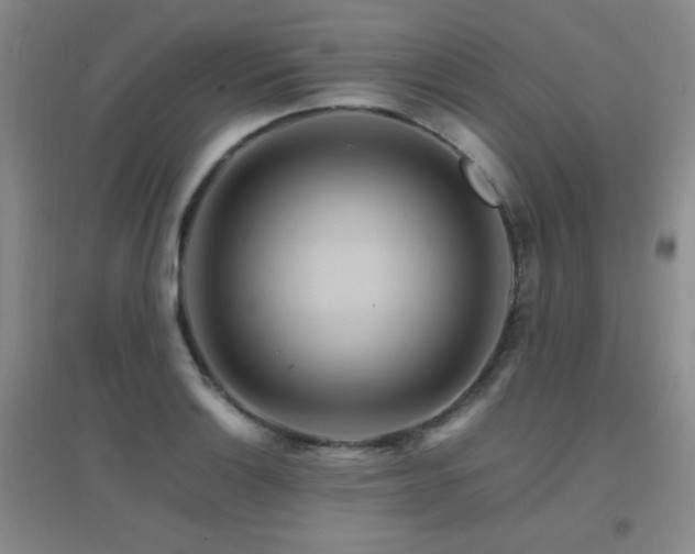 X0000096701132200802051404