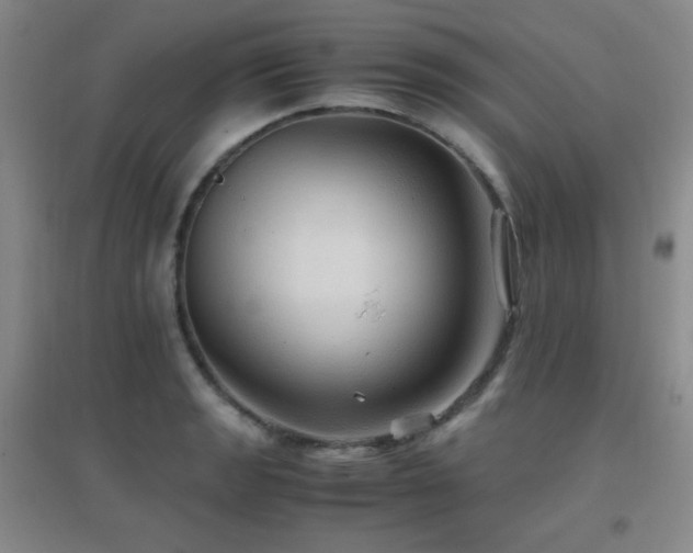 X0000096701133200802051404