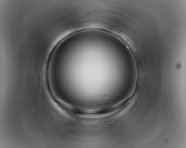 X0000096701134200802051404