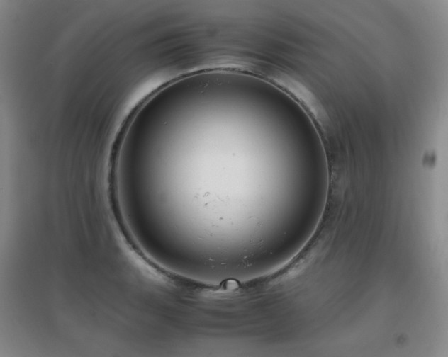 X0000096701135200802051404