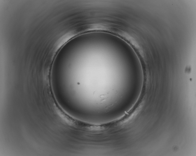 X0000096701137200802051404