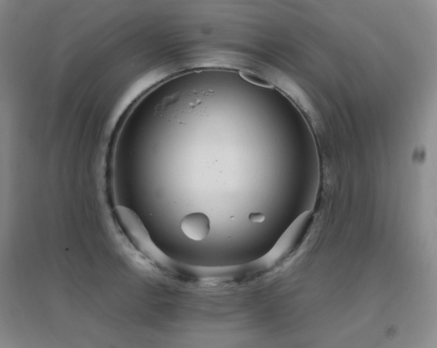 X0000096701138200802051404