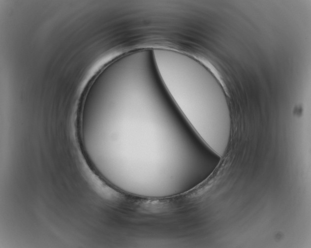 X0000096701139200802051405