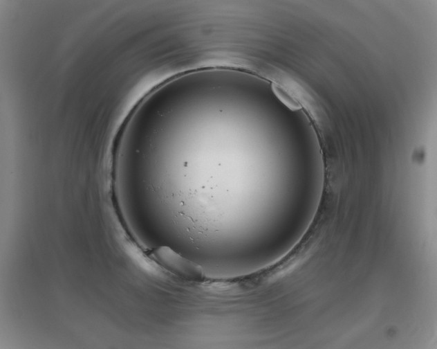 X0000096701140200802051405