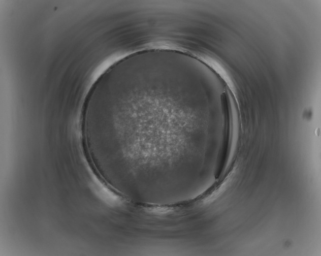 X0000096701141200802051405