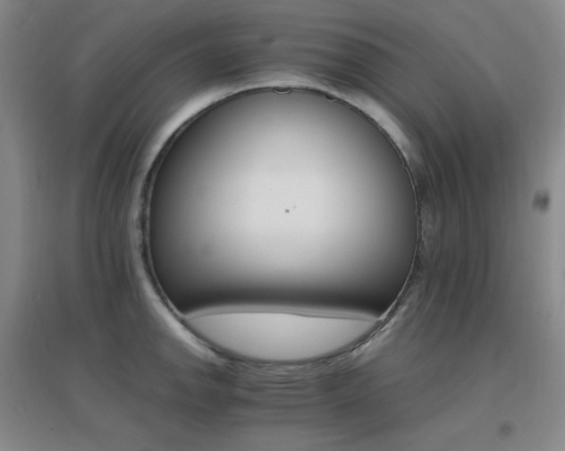 X0000096701142200802051405