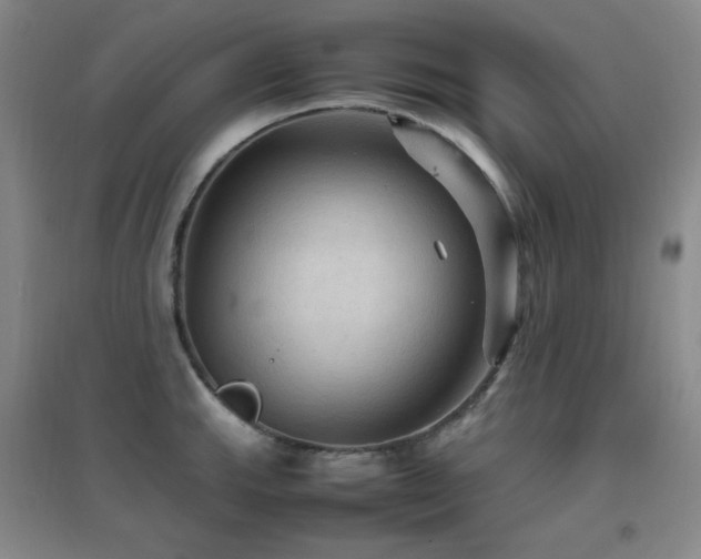 X0000096701143200802051405