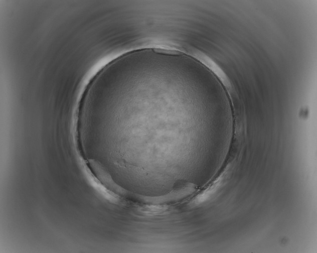 X0000096701144200802051405