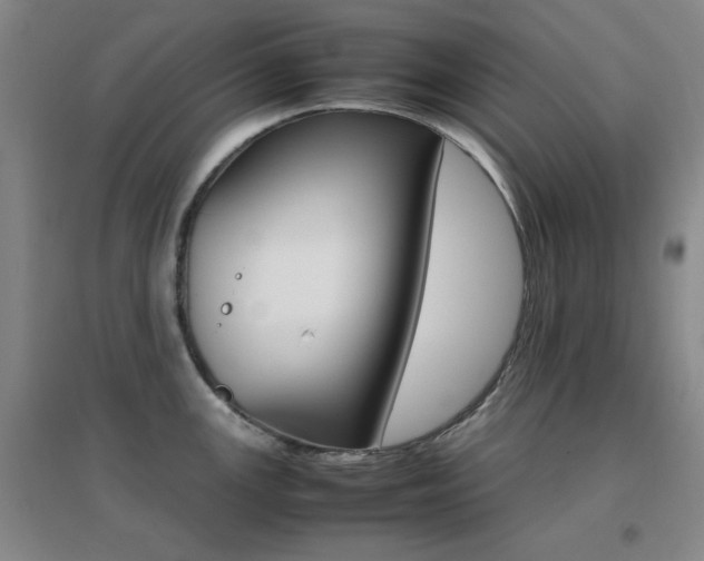X0000096701147200802051405